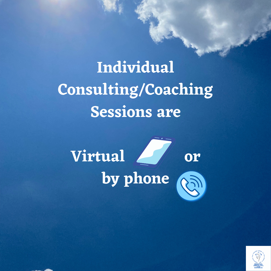 3 Hour Individual Consulting and Coaching Session