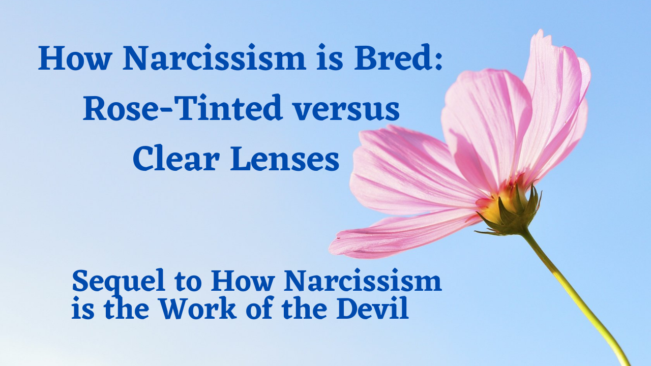 How Narcissism is Bred: Rose-Tinted versus Clear Lenses - Digital