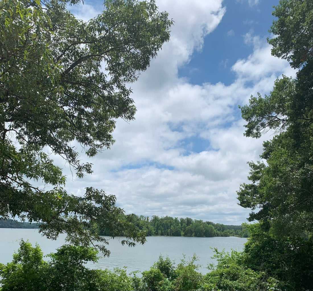 The Seasons of Life for Growth and Meaning