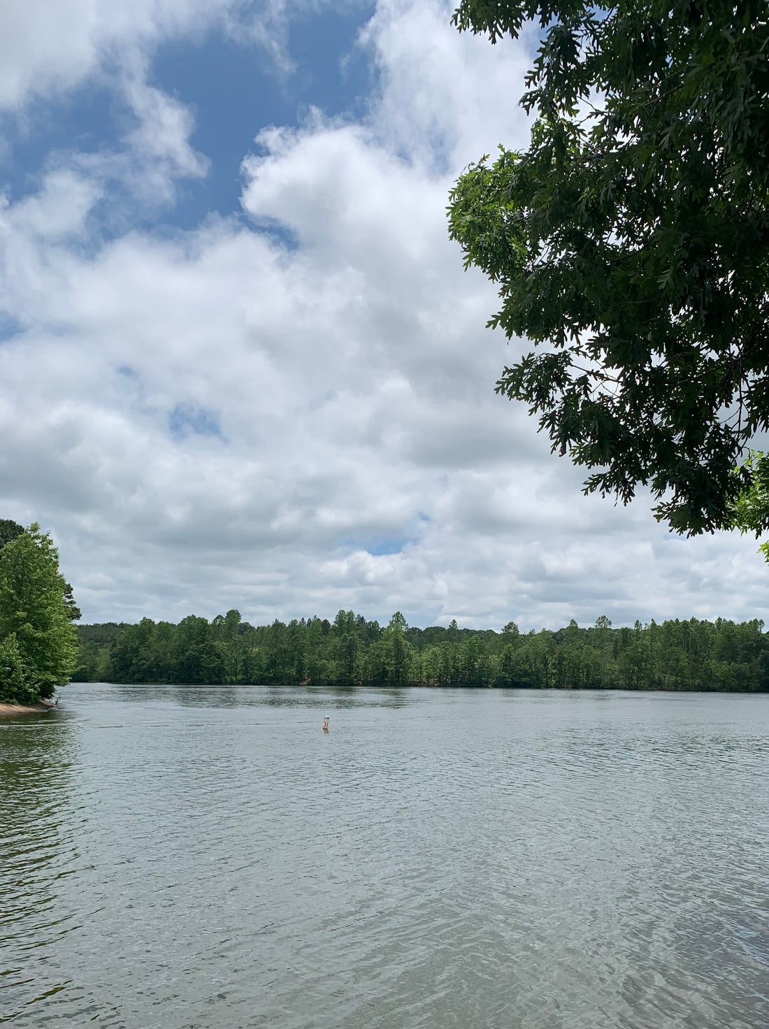 The Importance of A Connected Mind, Body, & Spirit