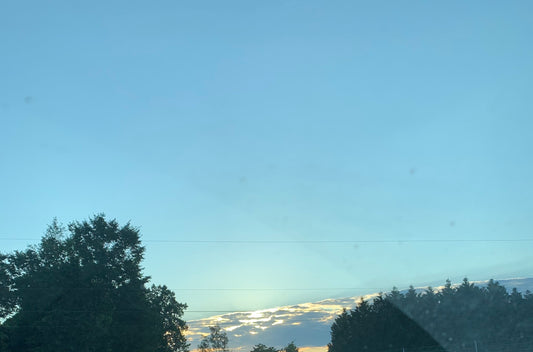 How Narcissism Kills Individuality To Feed the Beast