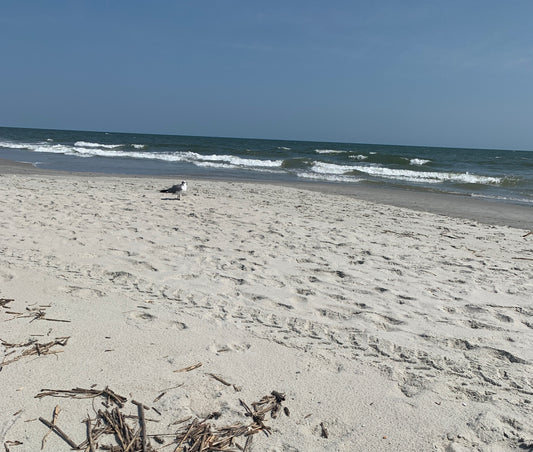 The Meaning to Letting Patience Have Her Perfect Works