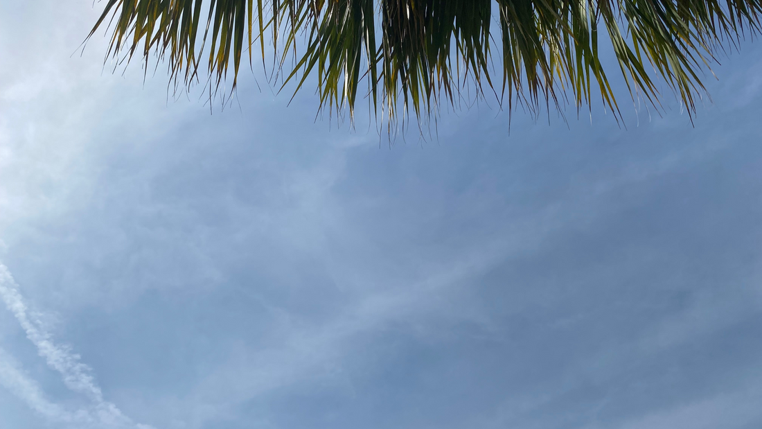 Overcoming the Want to Break 'No Contact'