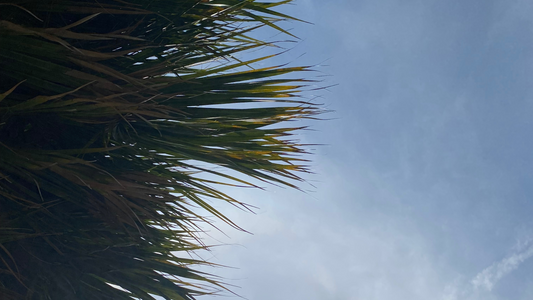 Developing that Healthy Level of Self-Confidence Post Narcissistic Abuse