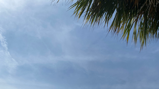 The Season of Questioning Everything Post Narcissistic Abuse