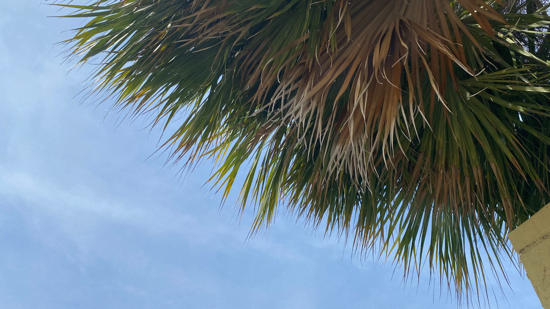 Overcoming Negative Thinking: Learning to Stop Expecting the Worst