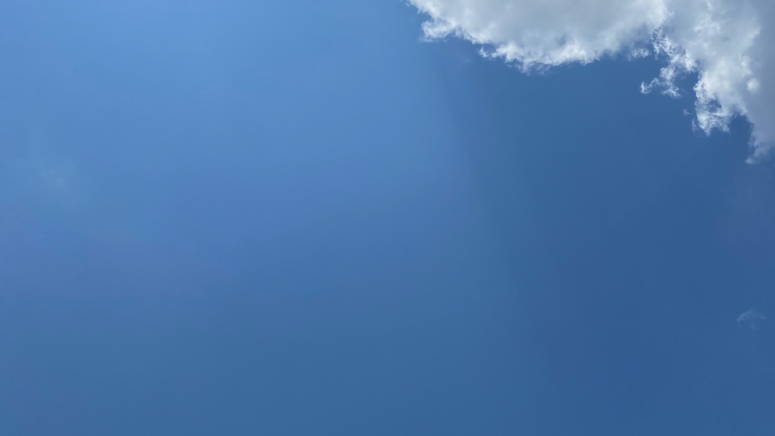 Overcoming the Want to Fit In - Trauma Healing