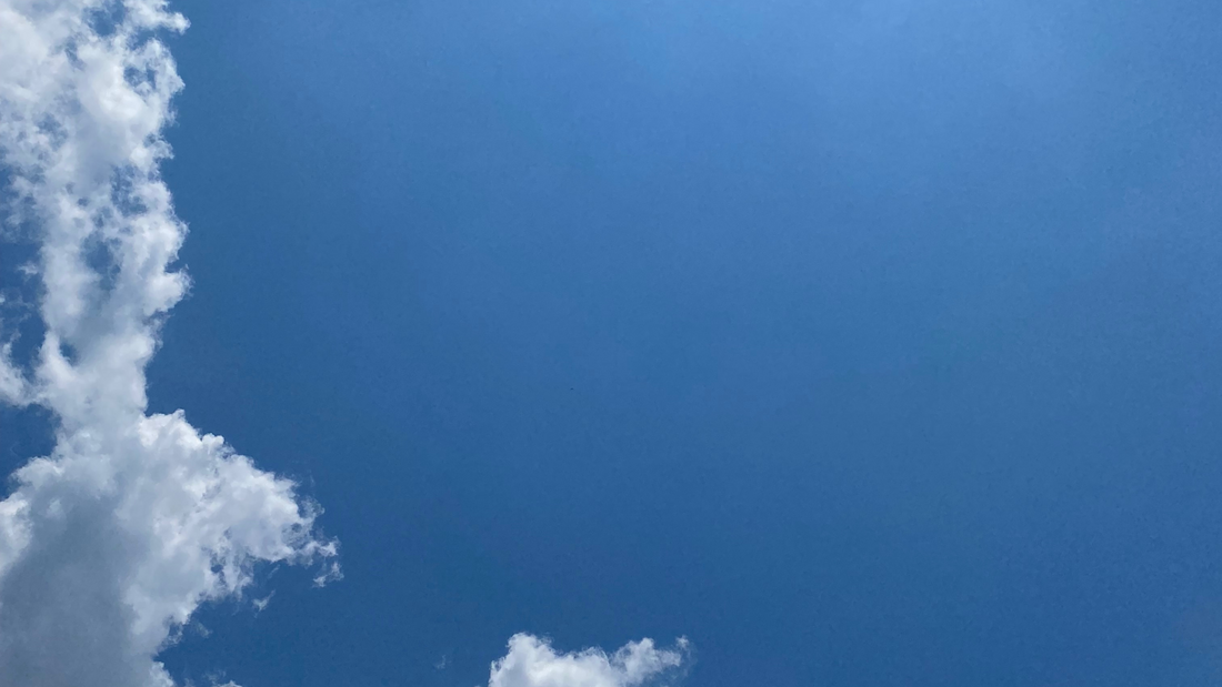 Overcoming feeling sorry for the narcissistic abuser