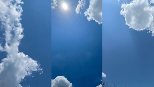 Learning to Accept Being Lied to About a Lot of Things Since Birth