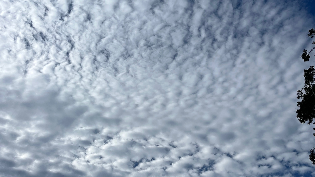 Impulsivity is Another Side Effect of the Trauma Bond to the World