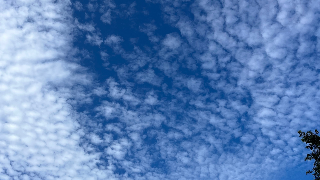 Oh, How that Demon of Doubt Lingers...