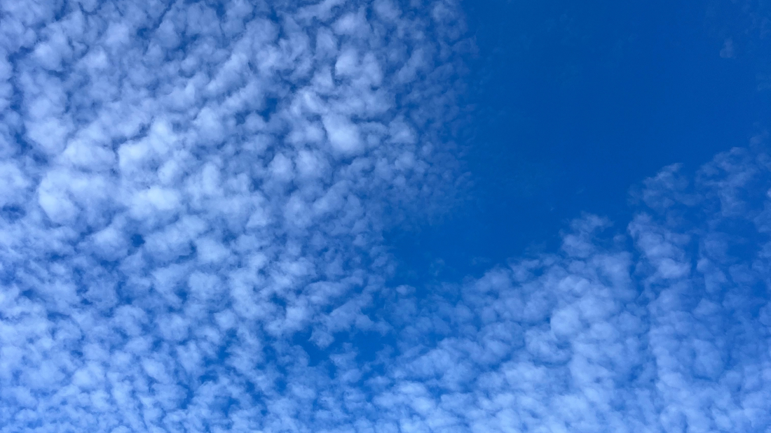 Overcoming the Demon of Embarrassment