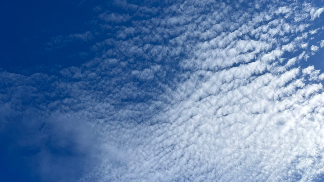 Breaking Trauma Bonds to Items: Trauma Healing