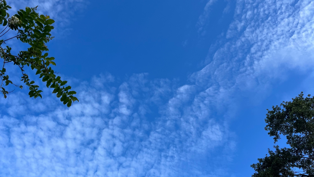 Breaking the Trauma Bond to the Individual Abuser Part 1