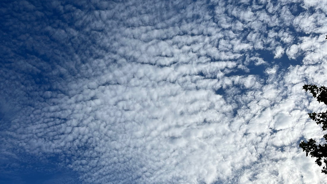 Breaking the Trauma Bond to the Individual Abuser - Part 2