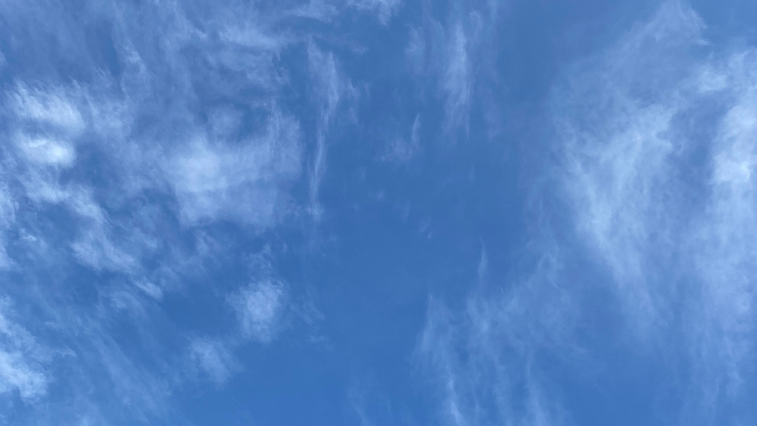 Breaking the Trauma Bond to the Individual Abuser - Part 3