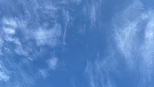 Breaking the Trauma Bond to the Individual Abuser - Part 3