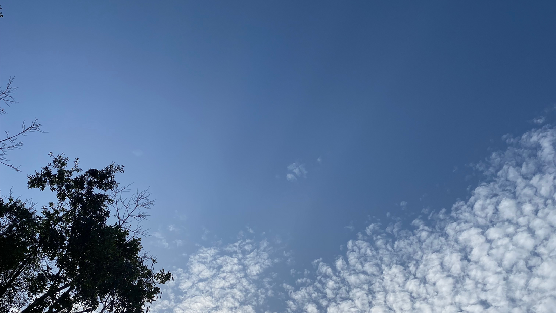 Trauma Healing is Spiritual Healing