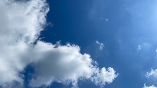 Learning to Let Go of Worldly Garbage