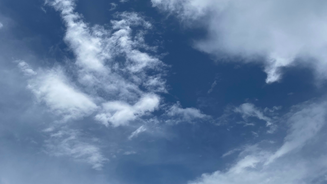 The Importance of Trauma Healing