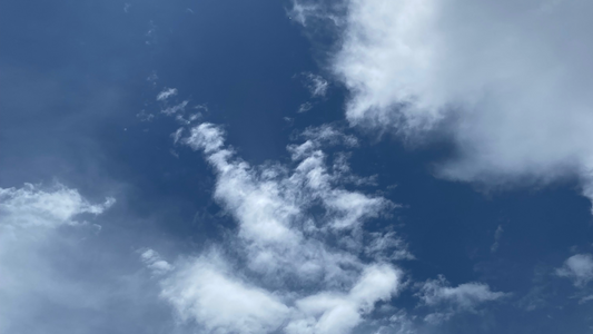 Detoxing From Trauma is A Process