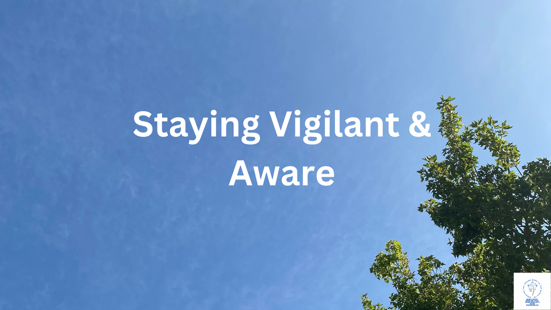 Staying Vigilant and Aware Post Narcissistic Abuse