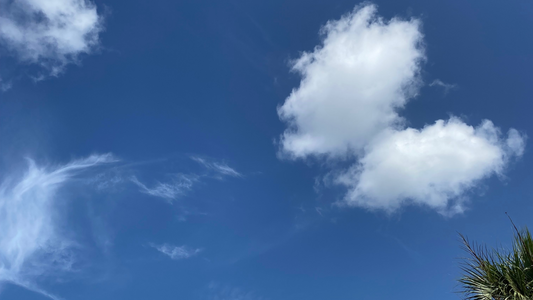 Re-learning How to Live in God's Reality