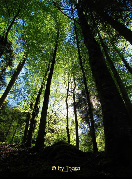 The Power of Positivity & Laughter: Lifting Your Spirit