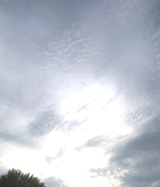 What Is Cognitive Dissonance? A Tool Used to Control Perception Management