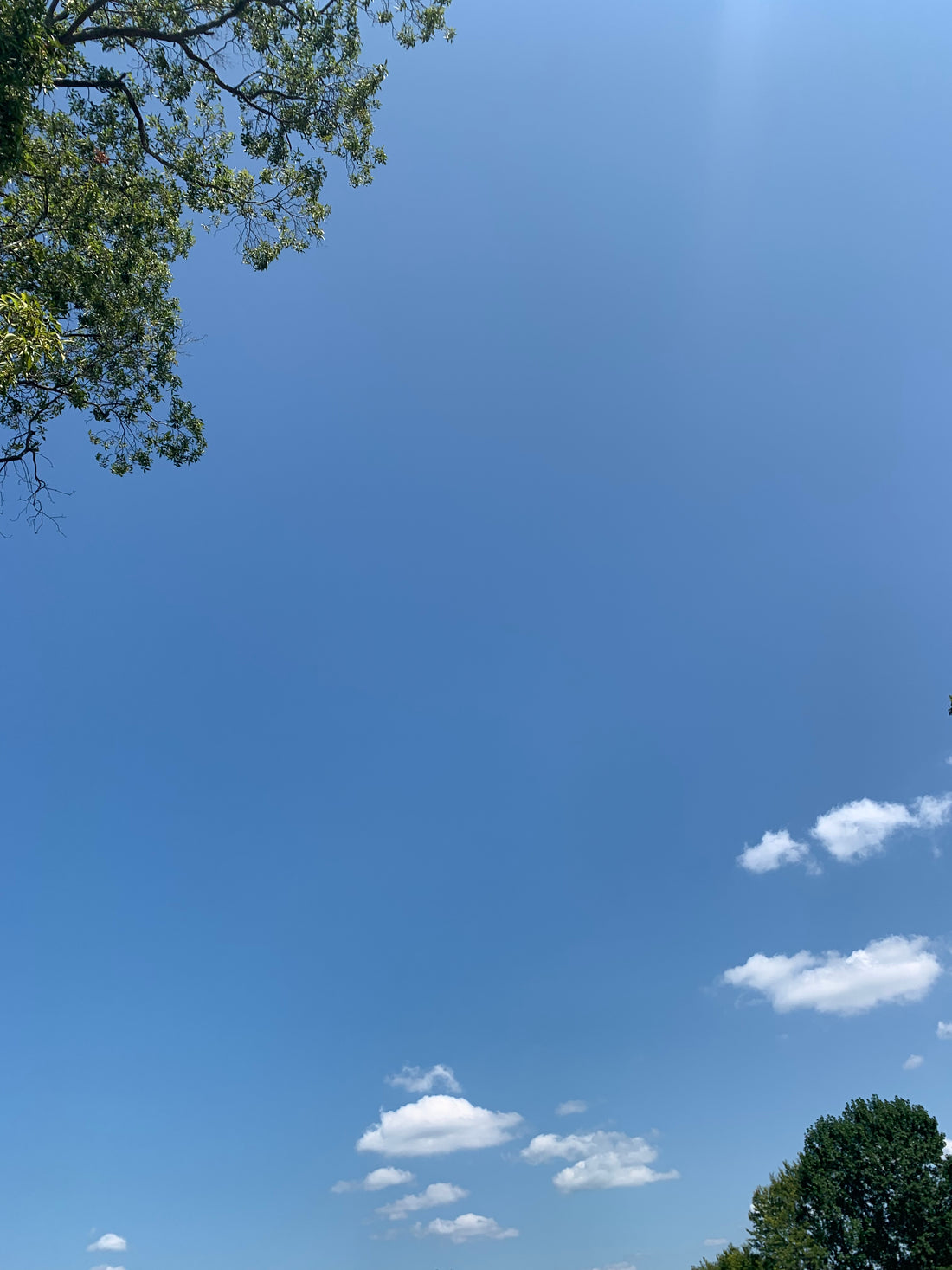 The Wonderful Wisdom of Not Being a Menspleaser!