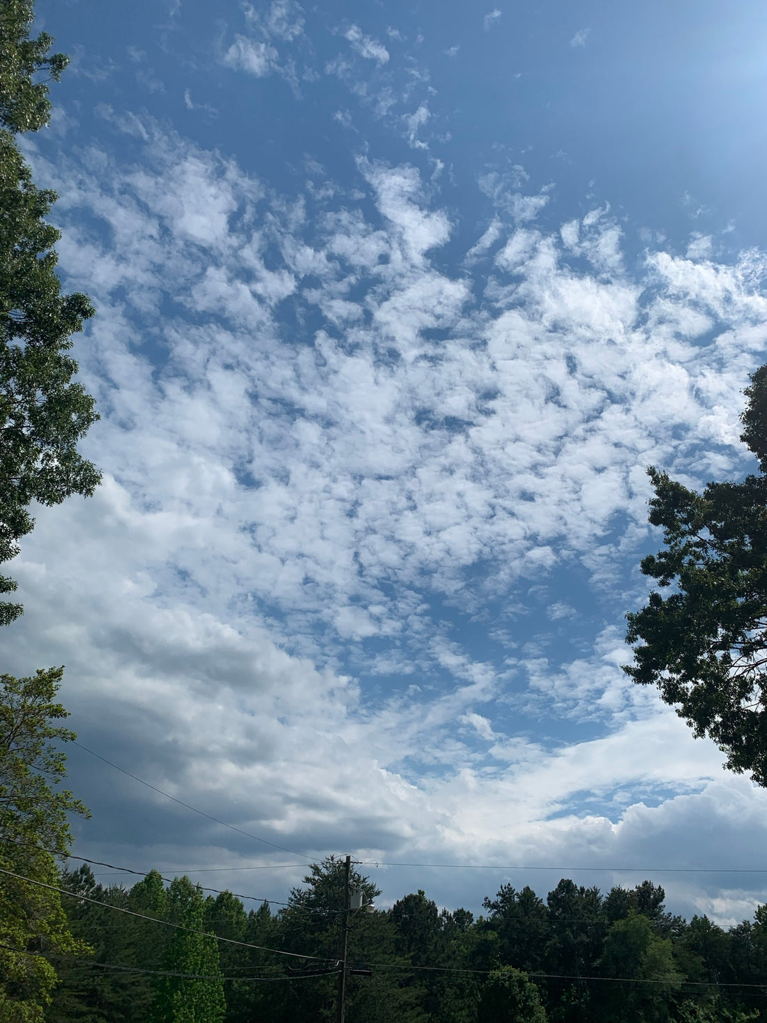 Dealing With Difficult People in The System of Narcissism