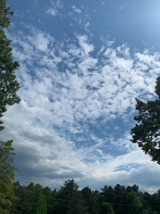 Dealing With Difficult People in The System of Narcissism