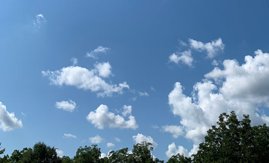 Narcissistic Abuse Is Not Going Away!