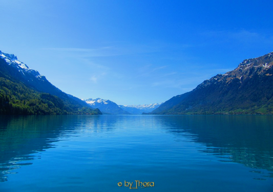 Some Battles are Not Our Battles